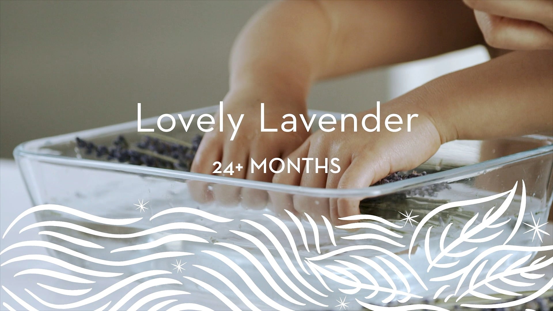24+ | Lovely Lavender