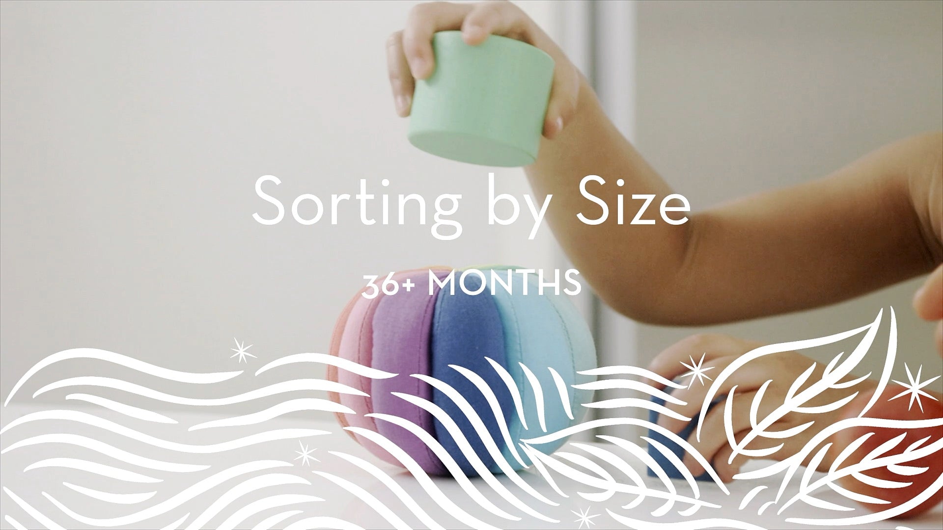 36+ | Sorting by Size
