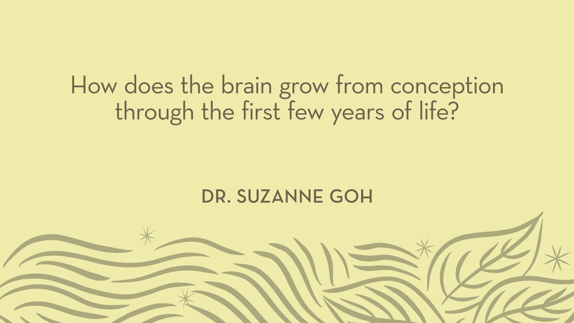 Dr. Goh | How does the brain grow from conception through the first few years of life?