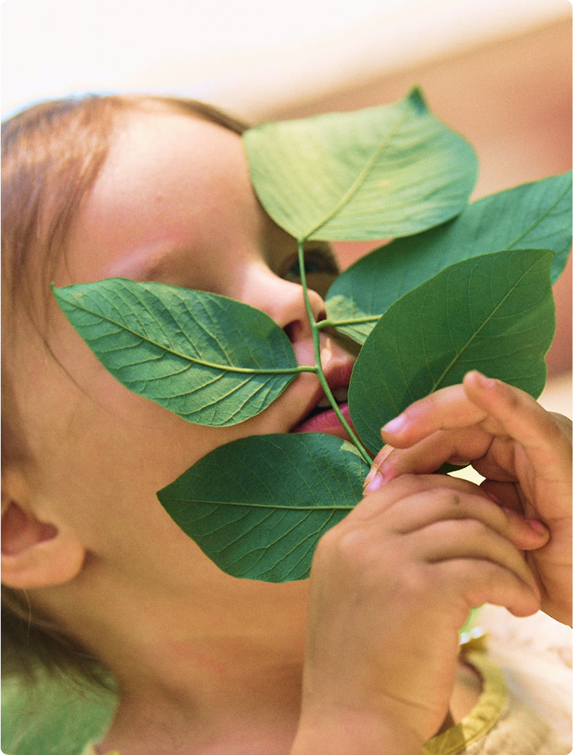 Month 26: The Power of Comparison