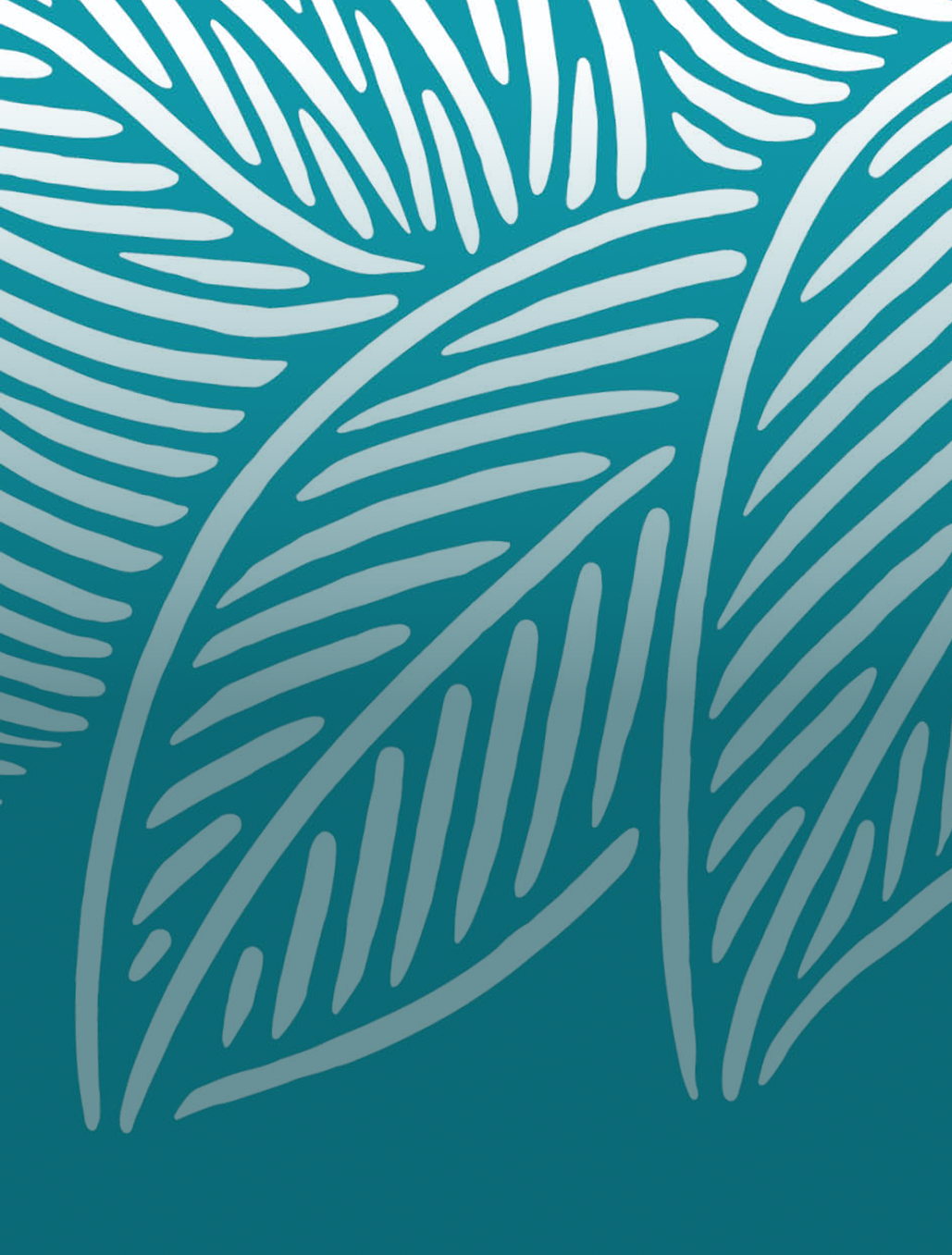 3+ | Two Texture Trace