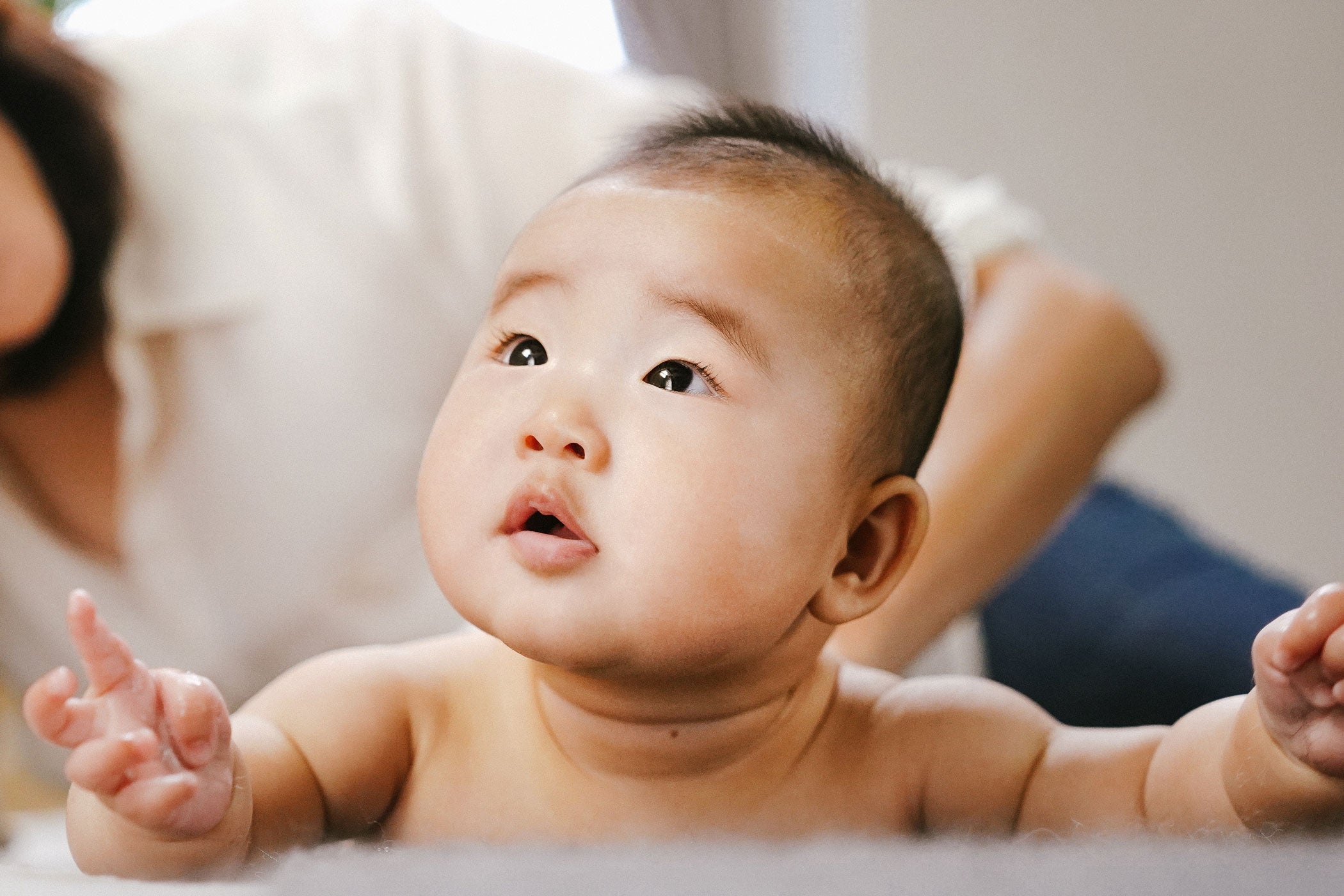 What You Should Know About "The Fearsome 14"