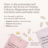 Our Prenatal: Preconception & 1st Trimester