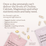 Our Prenatal: Preconception & 1st Trimester