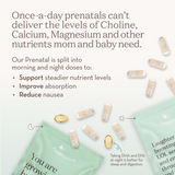 Our Prenatal: 3rd Trimester